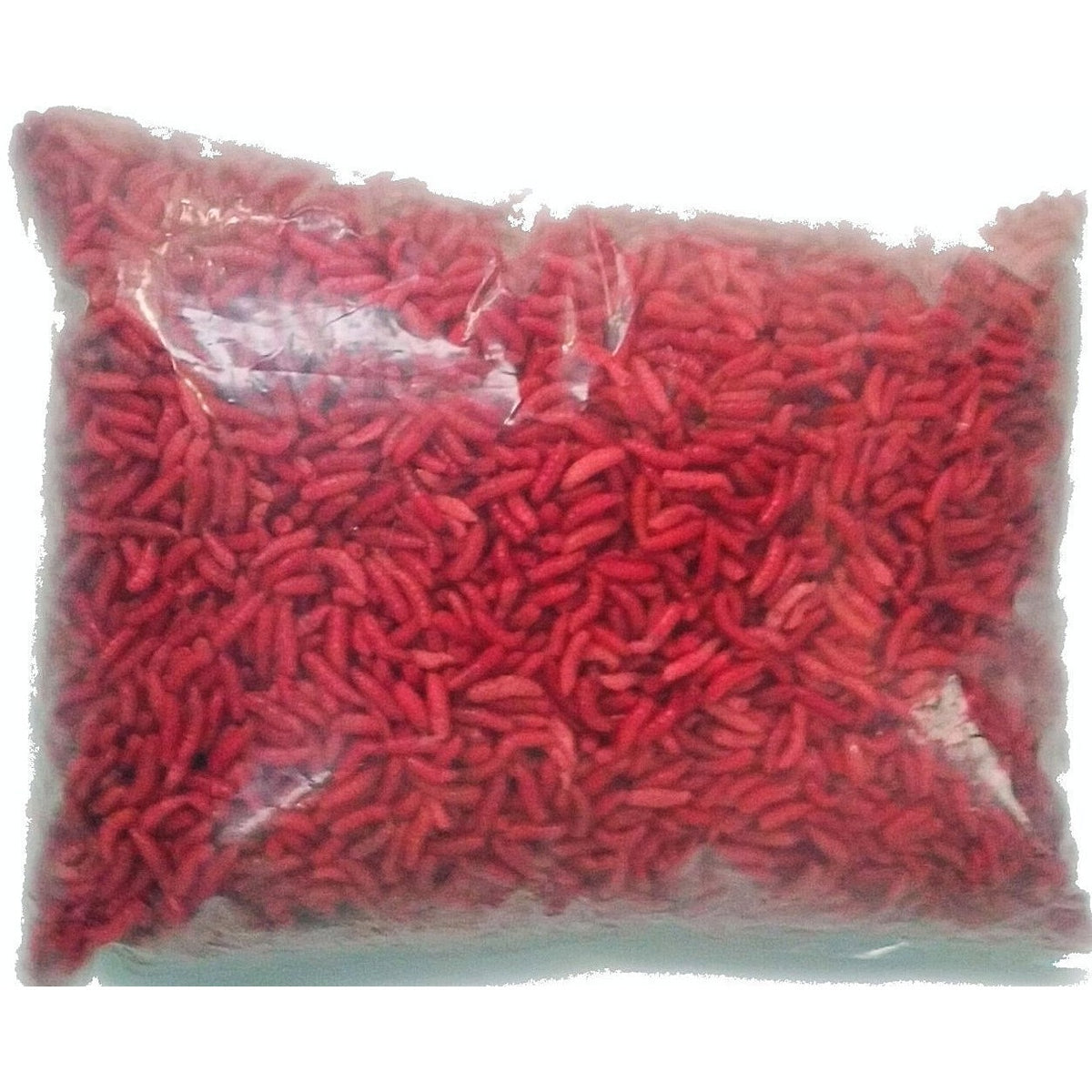 Live Maggots - Fishing Bait - White / Red / Mix, Order Online in Ireland